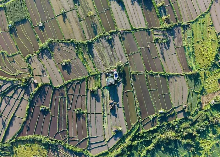 Gumibali Affittacamere Karangasem