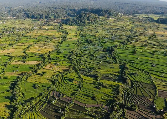 Affittacamere Gumibali