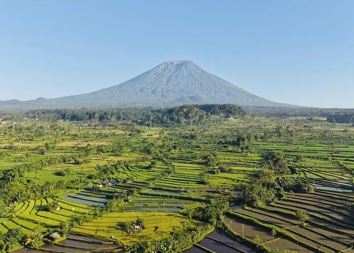 Affittacamere Gumibali 4*