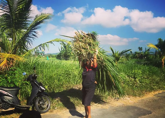 Affittacamere Gumibali Karangasem