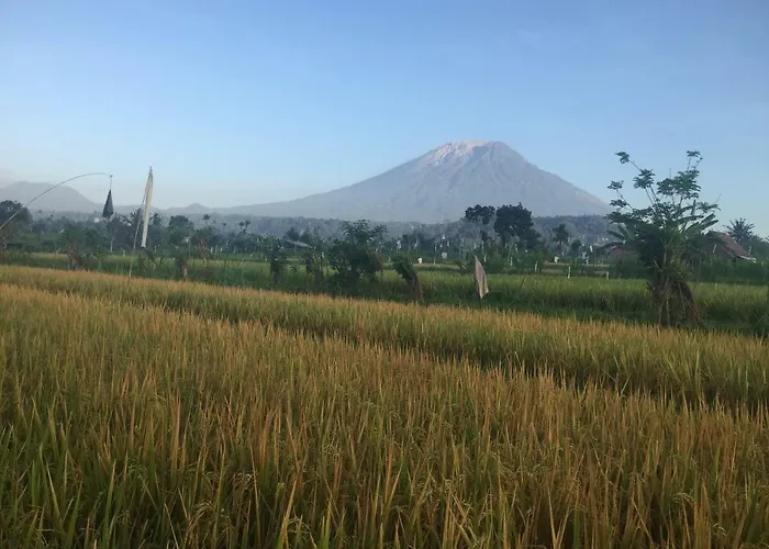Gumibali Affittacamere